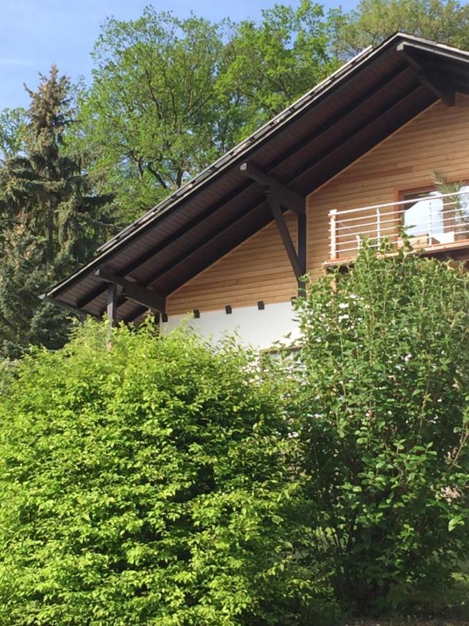 Apartment Gemuetliche Mit Pool Bei Jena